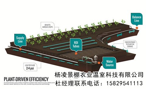 兩種新的灌溉技術(shù)幫你節(jié)約每一滴水